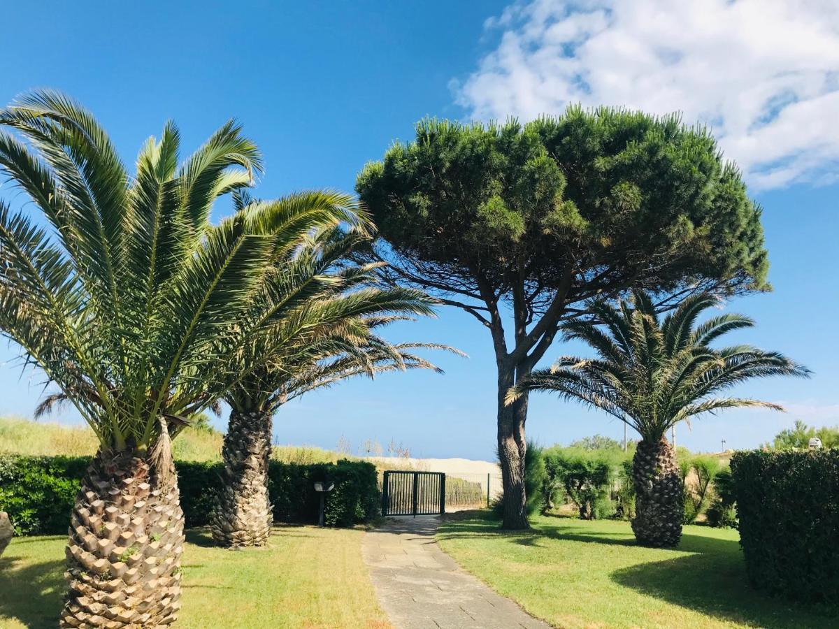 Les Capitelles Bord De Plage Avec Grande Piscine - Vue Montagne Saint-Cyprien  Exteriér fotografie